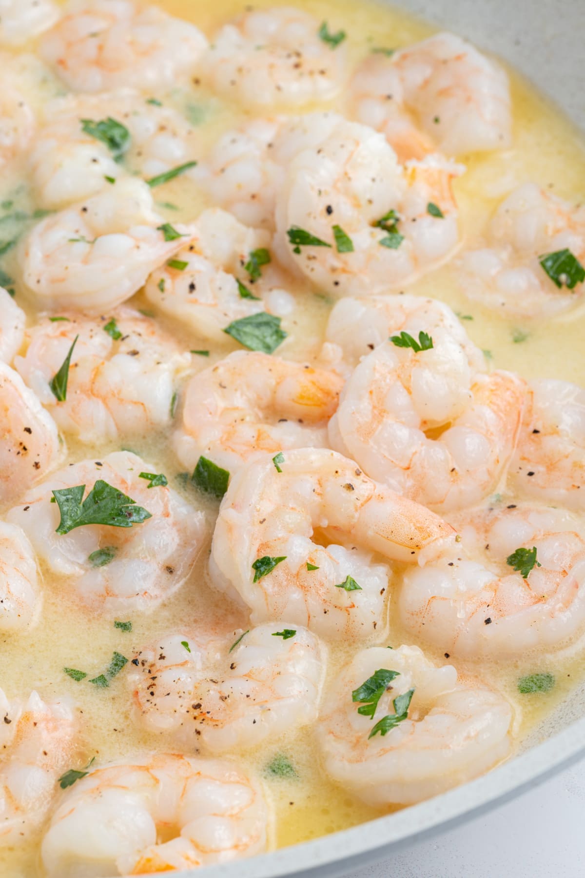 close up shrimp scampi in pan