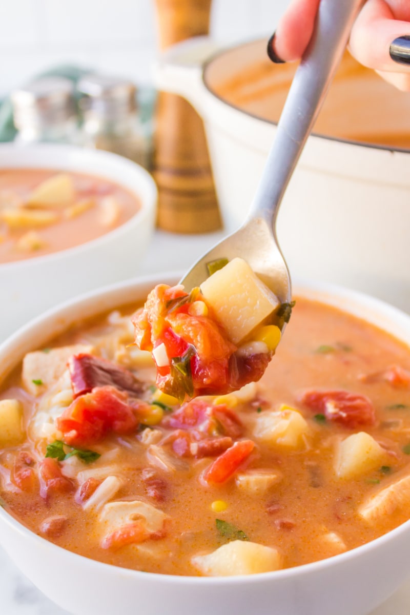 spoonful of chicken chowder over bowl