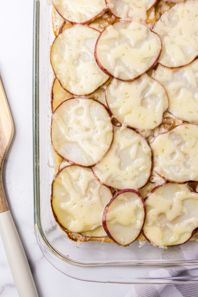 beer baked scalloped potatoes in pan