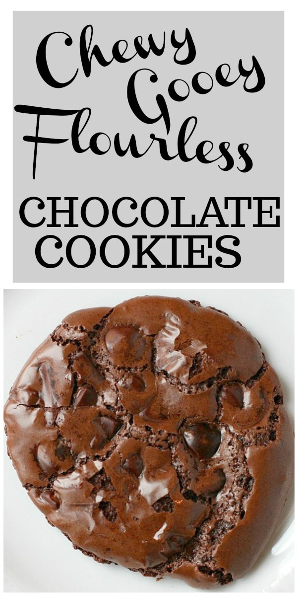 chewy gooey flourless chocolate cookies