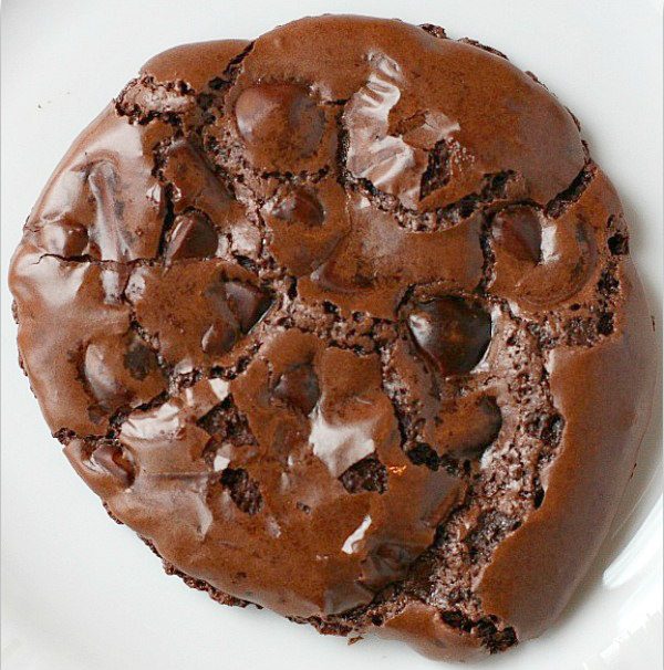 chocolate cookie