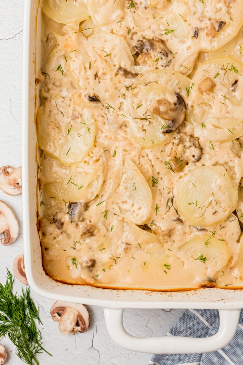 white casserole dish with mushroom dill scalloped potatoes