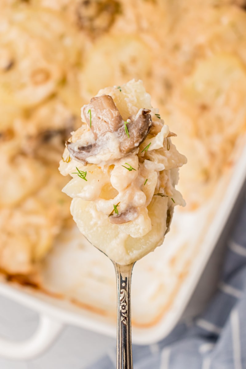 spoonful of scalloped potatoes