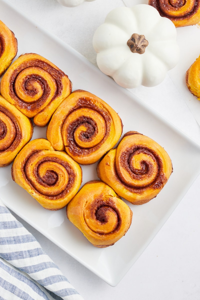 pumpkin cinnamon rolls on a white platter