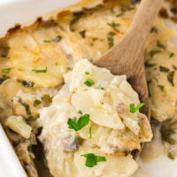 spoonful of scalloped potatoes