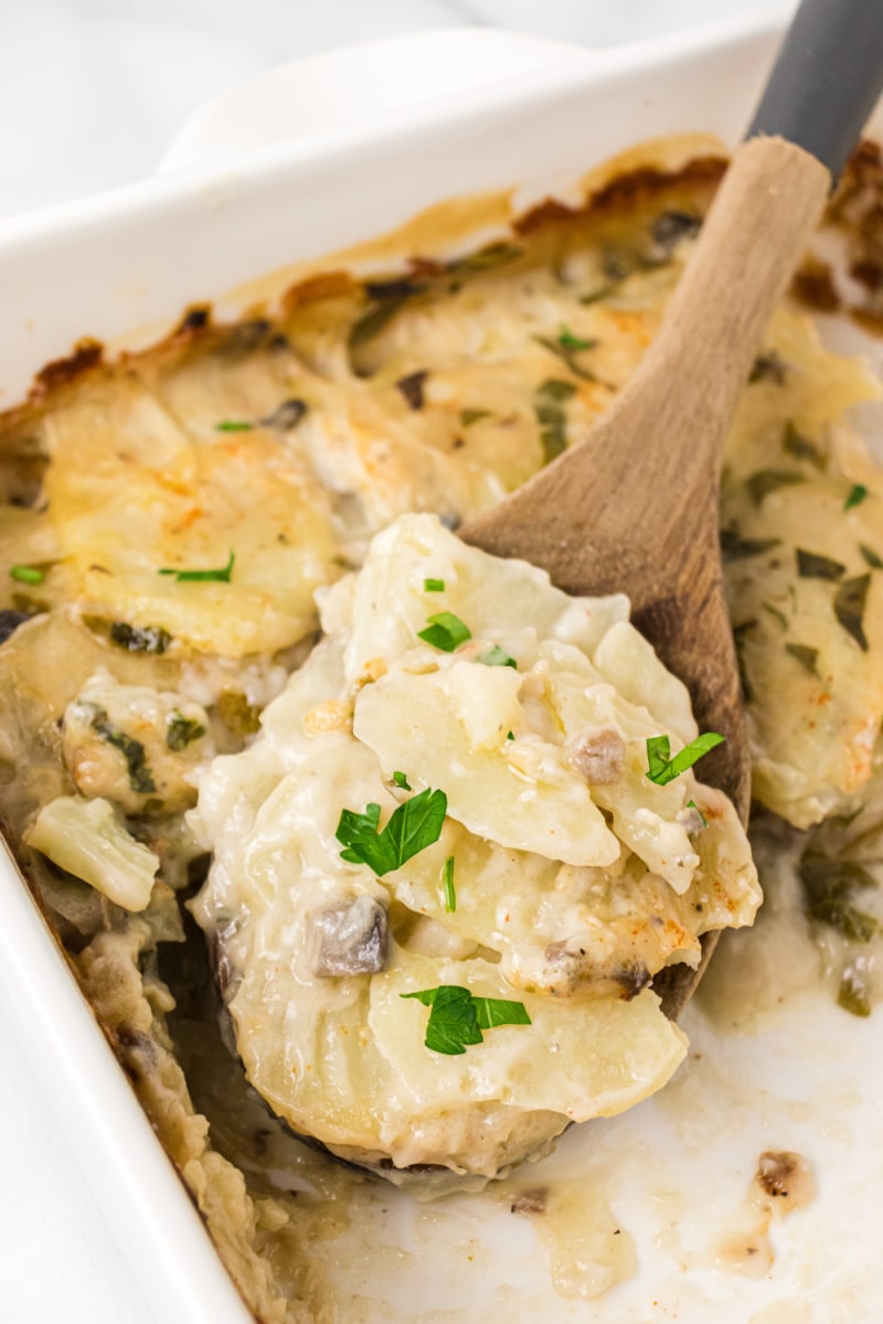 spoonful of scalloped potatoes