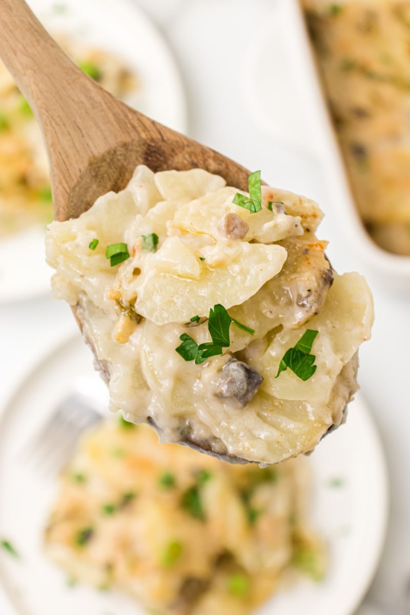 spoonful of scalloped potatoes