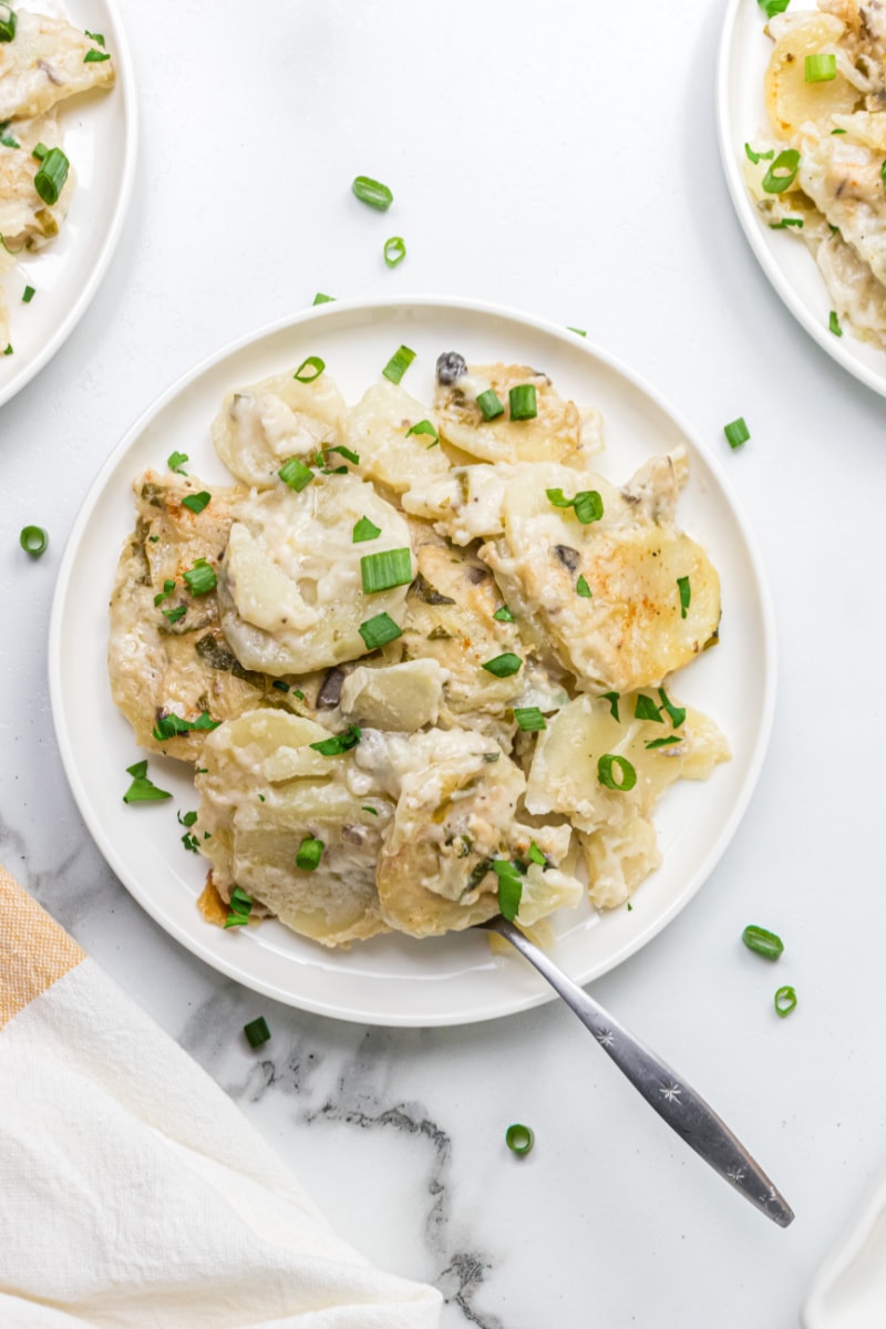 serving of scalloped potatoes on a white plate