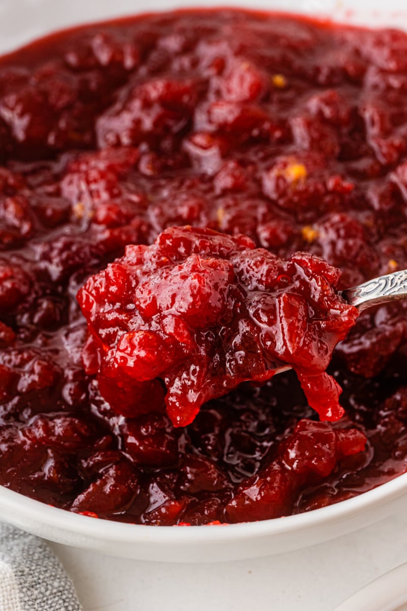 spoonful of cranberry sauce