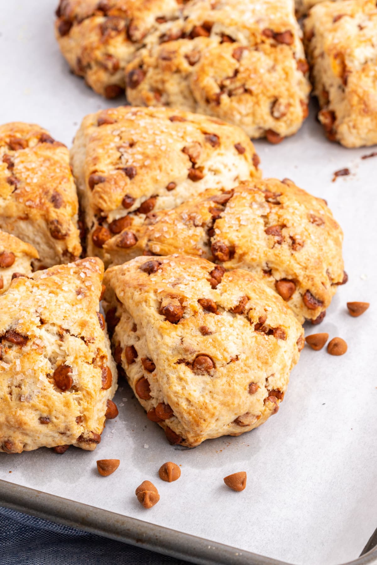 cinnamon eggnog scones