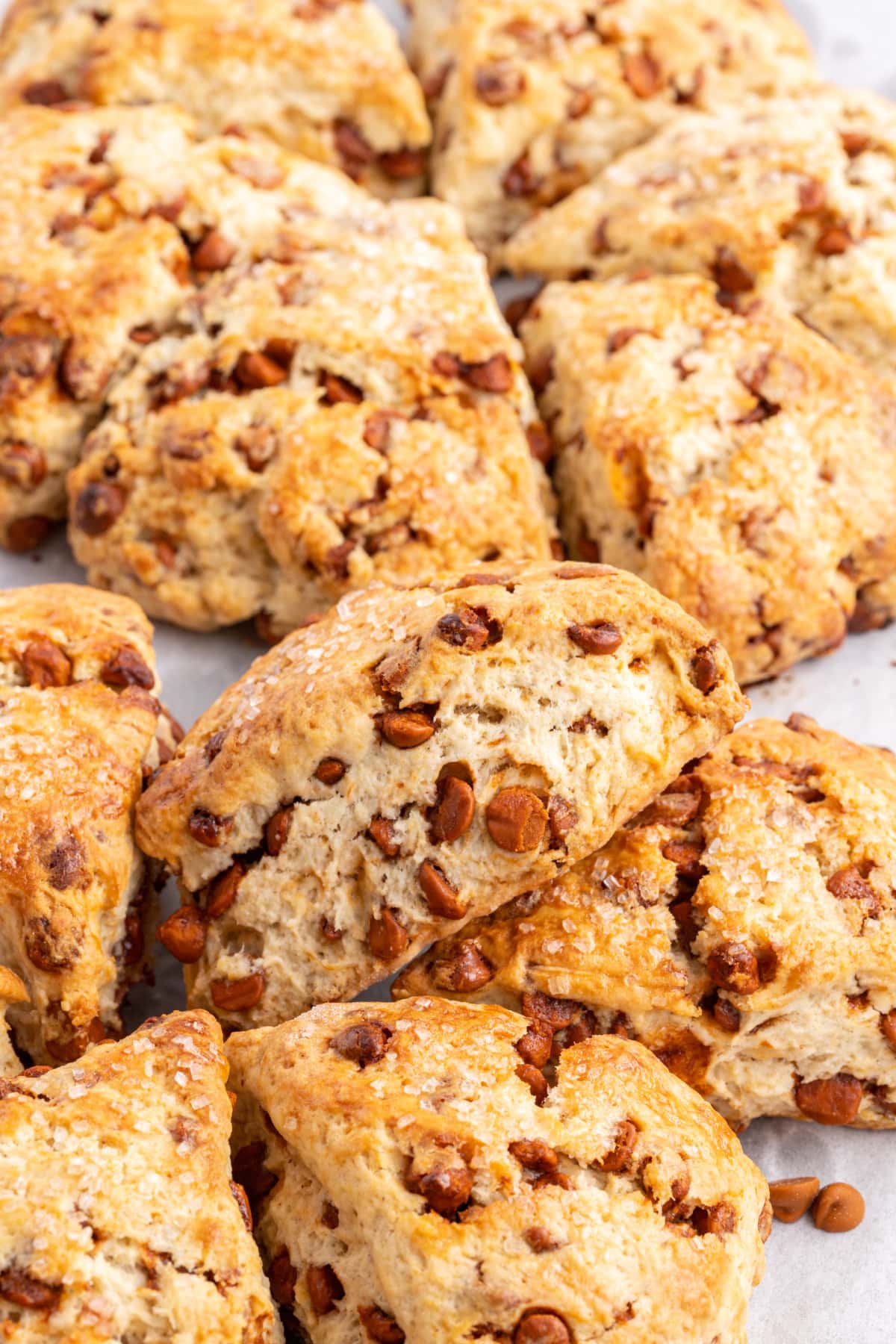 cinnamon eggnog scones