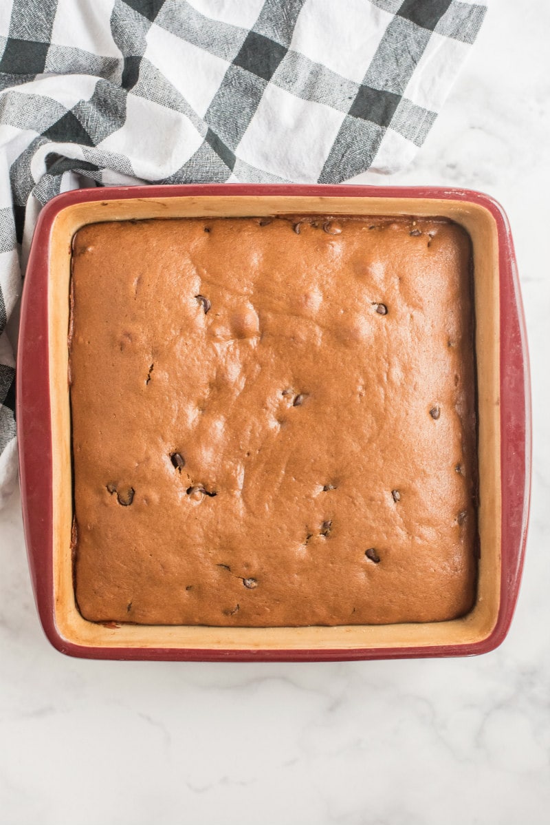 gingerbread with chocolate chips in a square pan