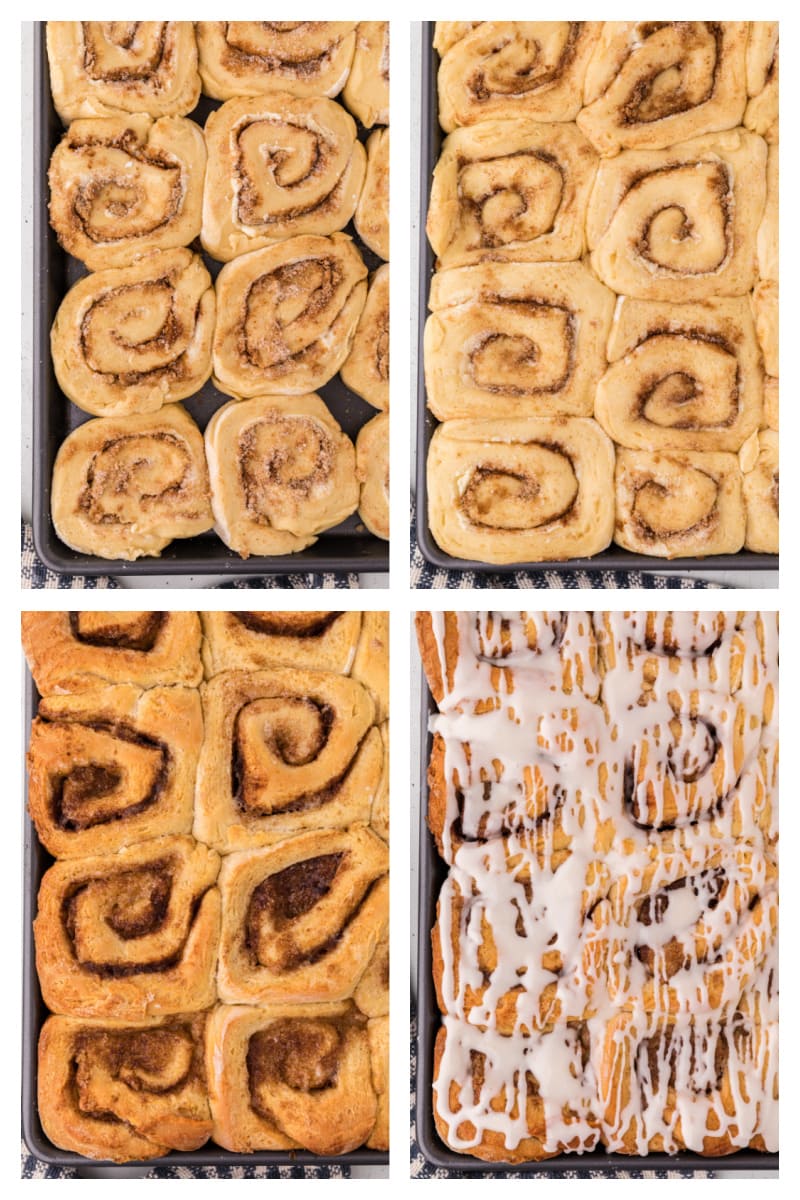 four photos showing cinnamon rolls rising and then baked and iced