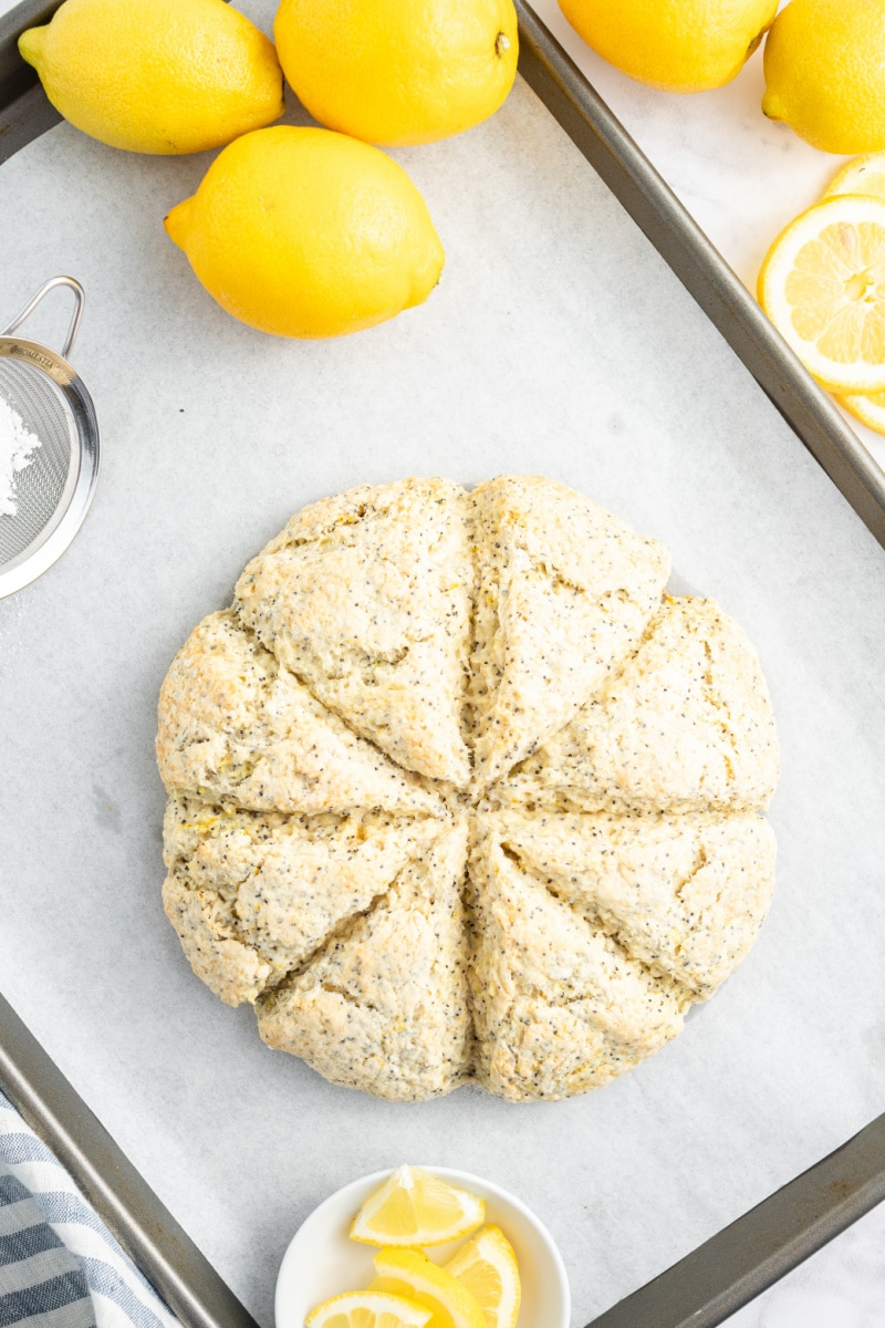 lemon poppy seed scones on baking sheet just out of oven