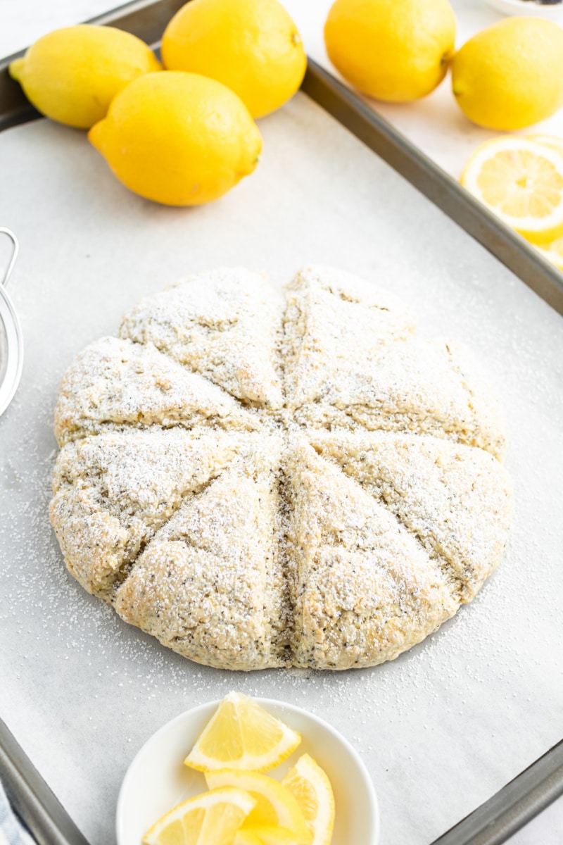 lemon poppyseed scones on baking sheet dusted with powdered sugar