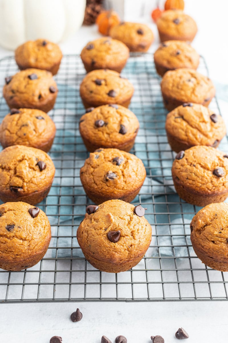 pumpkin muffins on a cooling rack