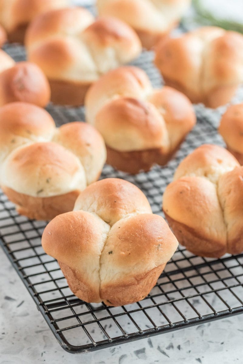 cloverleaf rolls on a cooling rack