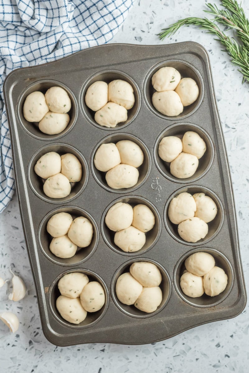 cloverleaf rolls in a muffin pan ready for the oven