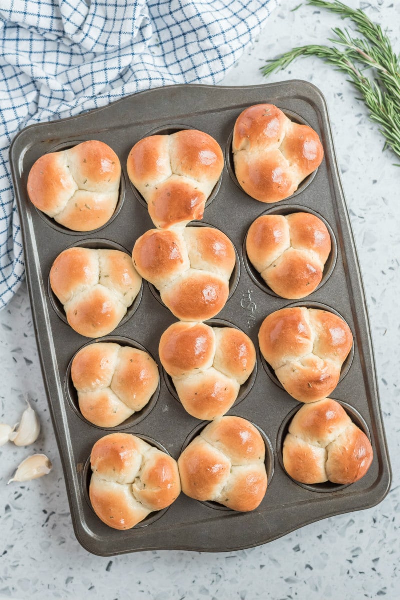 cloverleaf rolls in a muffin pan just out of the oven