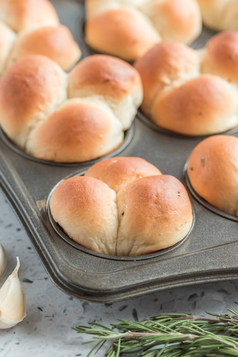 cloverleaf rolls in a baking pan fresh out of the oven