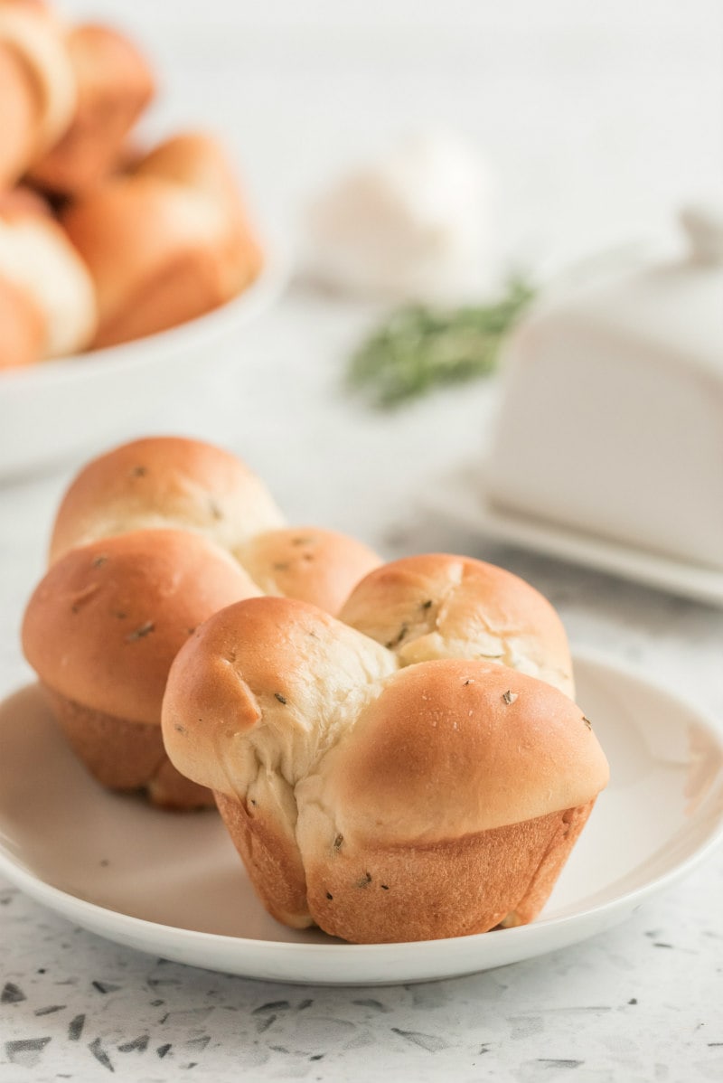 cloverleaf rolls on a white plate