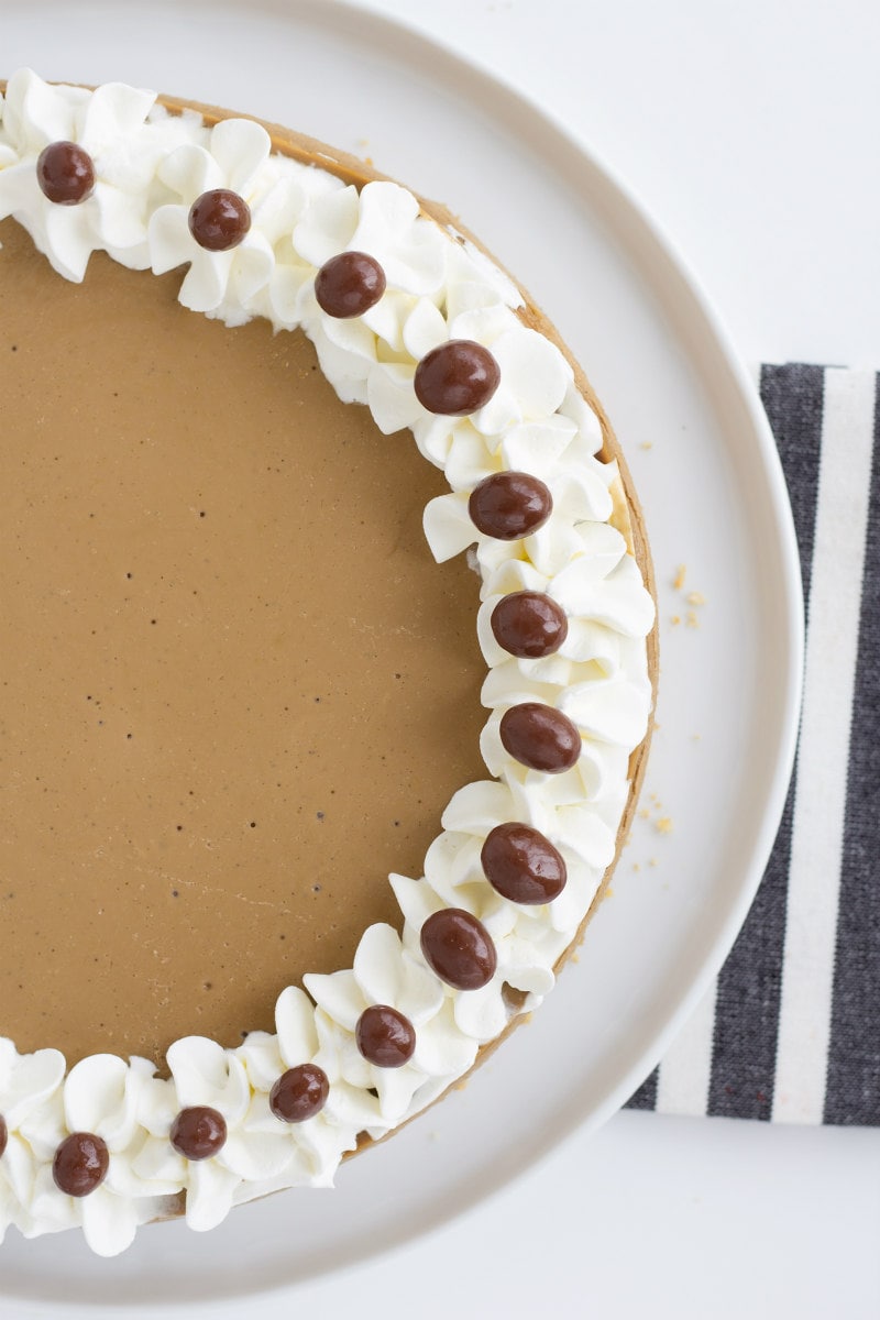 Cappuccino Cheesecake garnished with whipped cream and espresso beans