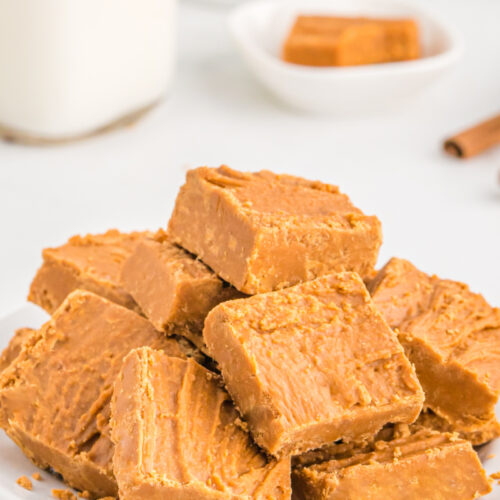 Cinnamon Fudge Recipe Girl