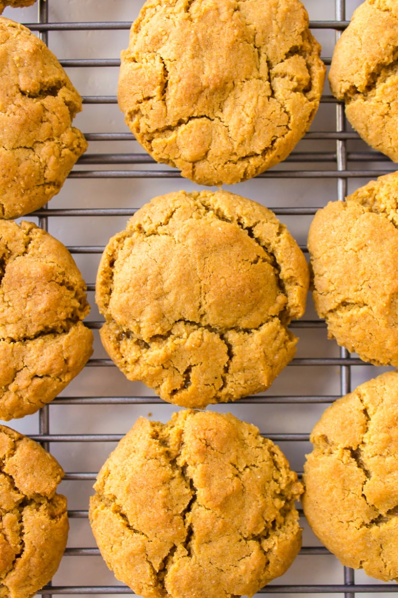 extra crispy gingersnaps on a cooking rack