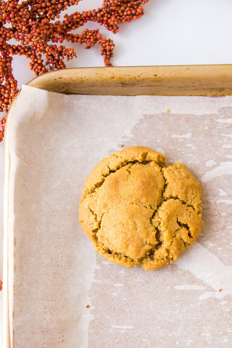 gingersnap cookie on baking sheet
