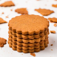 stack of gossamer spice cookies