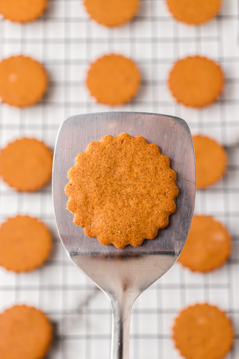 spatula with gossamer spice cookie on top