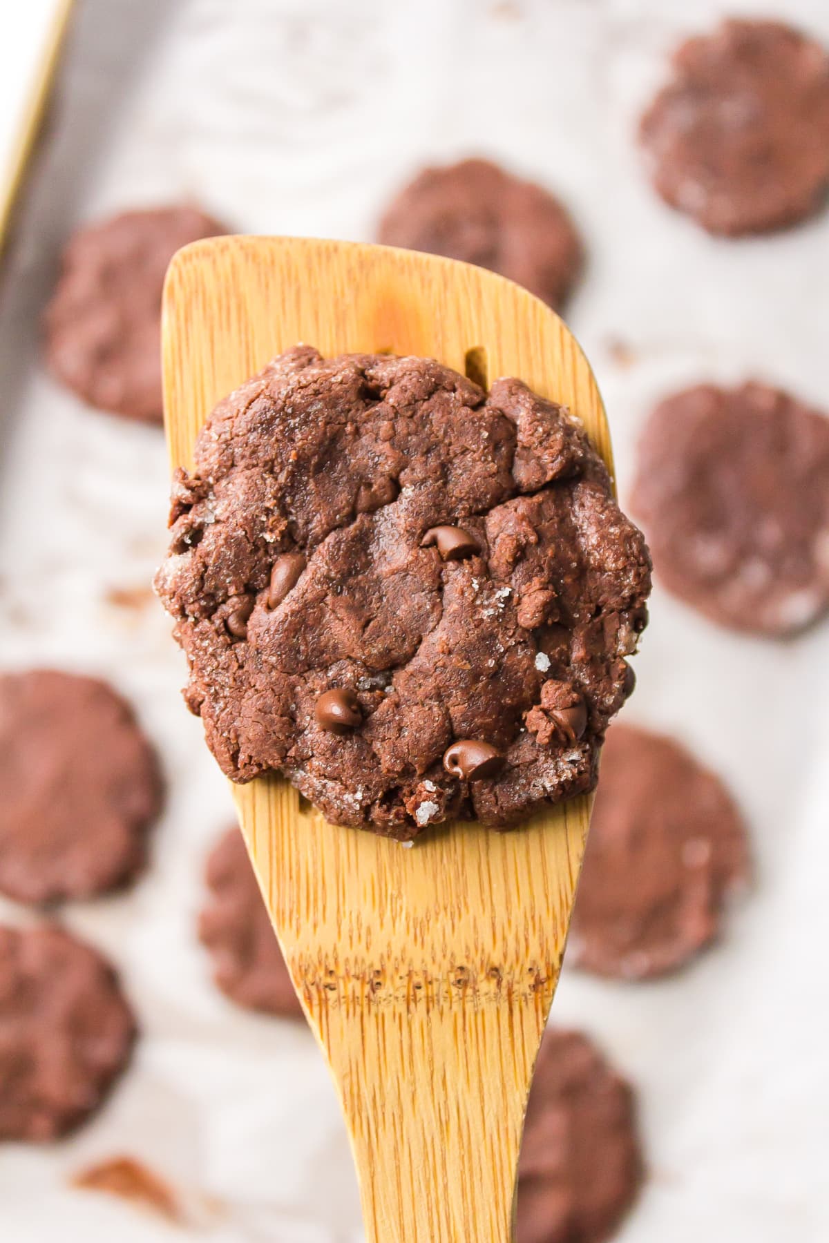 spatula holding one low fat chocolate cookie