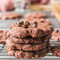 stack of low fat chocolate cookies