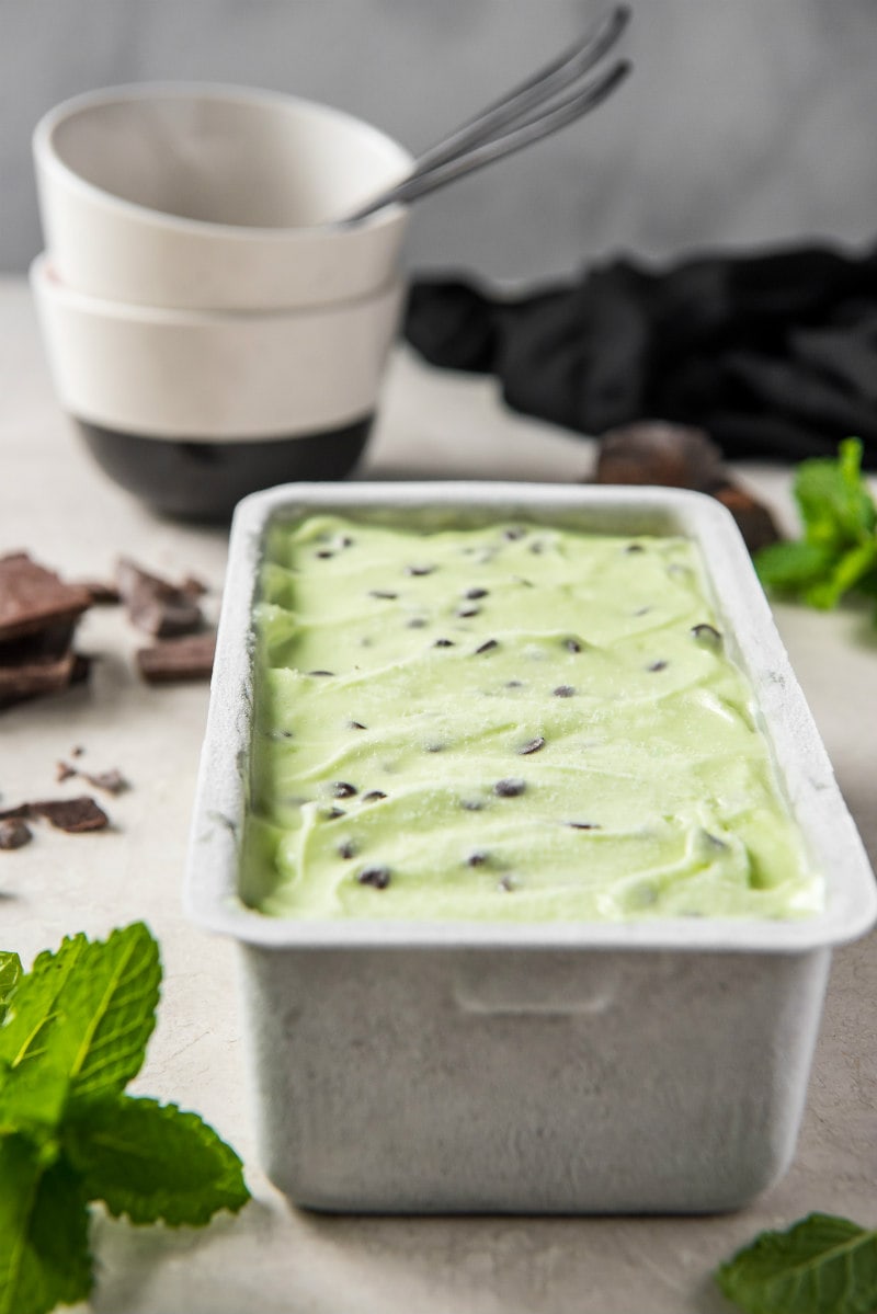 Low Fat Mint Chocolate Chip Ice Cream 