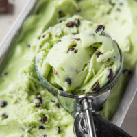 scooper with mint chocolate chip ice cream in it sitting on top of the ice cream container