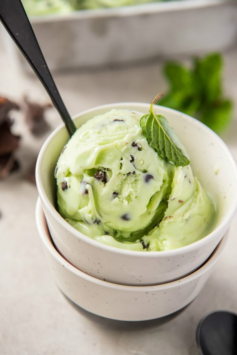 dish of low fat mint chocolate chip ice cream with a spoon in in
