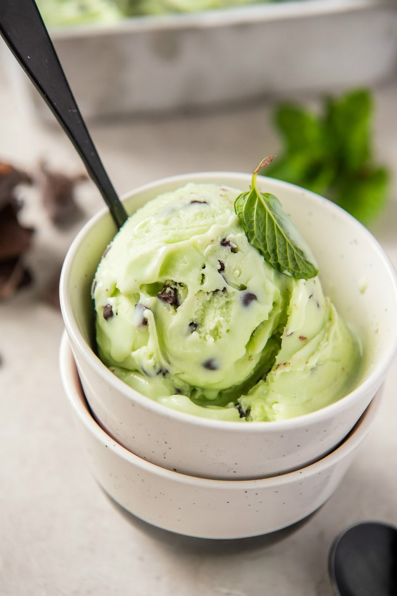 Serving of Low Fat Mint Chocolate Chip Ice Cream