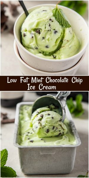 Low Fat Mint Chocolate Chip Ice Cream