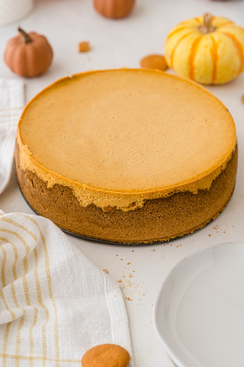 low fat pumpkin cheesecake