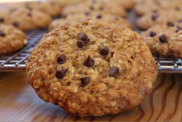 Chocolate Chip Cookie