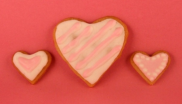 martha stewart’s royal icing