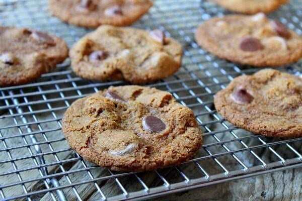 Milk Chocolate Gingersnaps recipe - by RecipeGirl.com