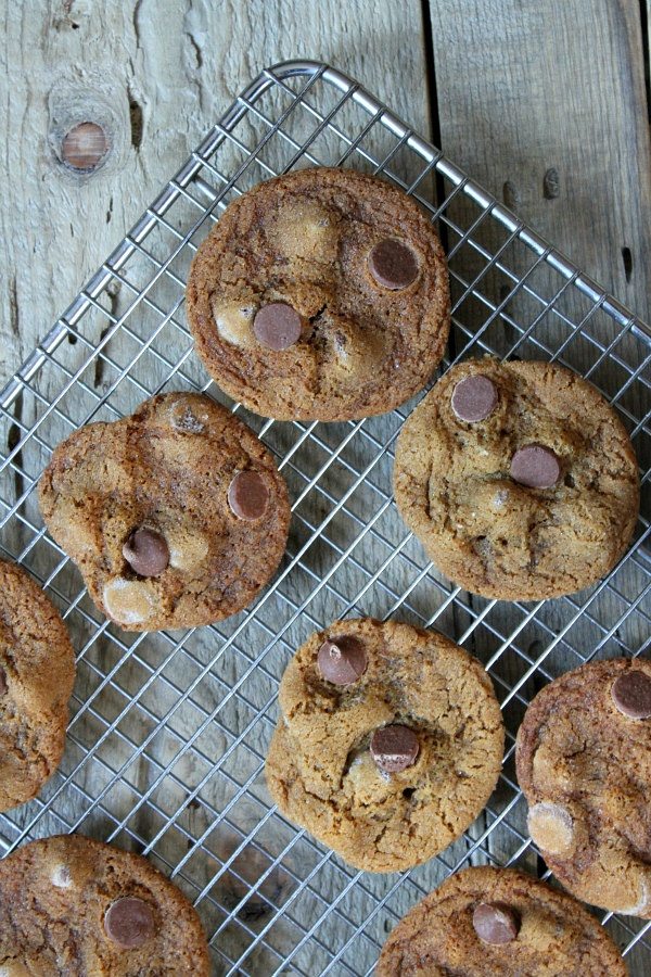 Milk Chocolate Gingersnaps recipe - by RecipeGirl.com