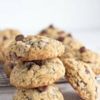 Wild and Crazy Oatmeal Chip Cookies