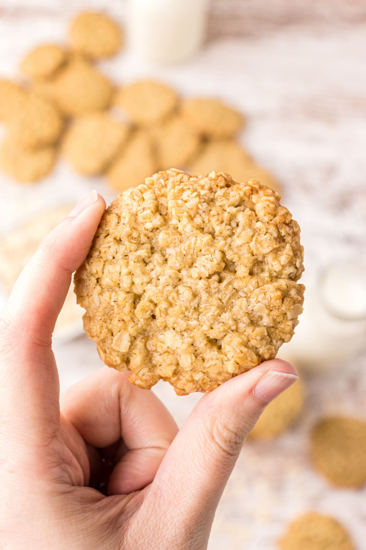 hand holding oatmeal cookie