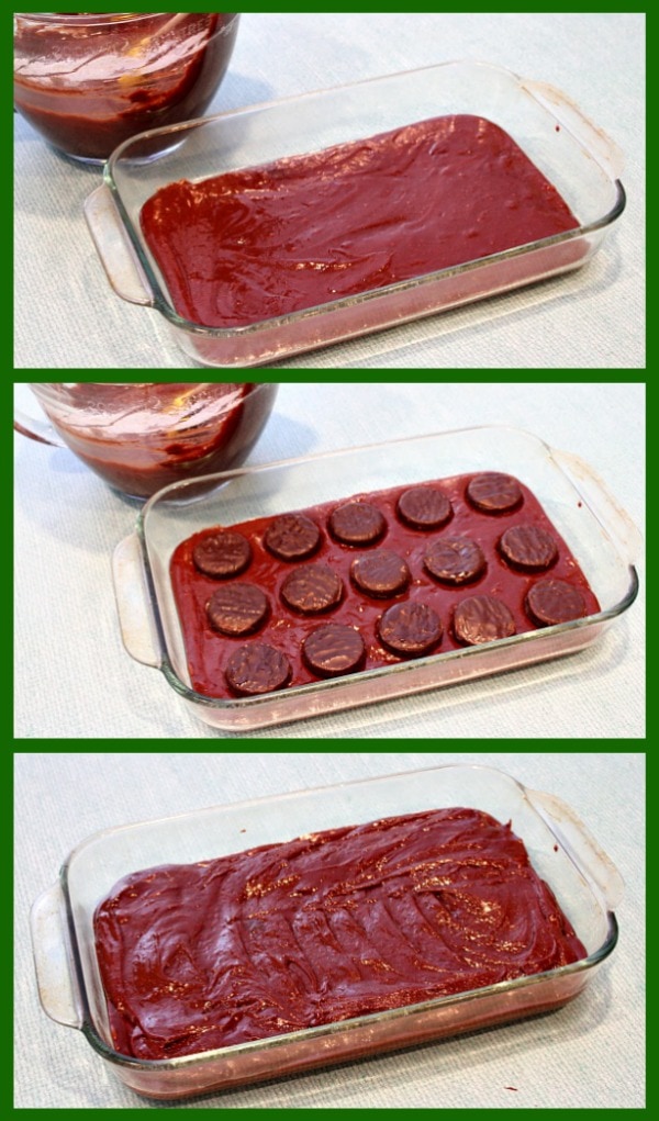 Peppermint Brownies 3