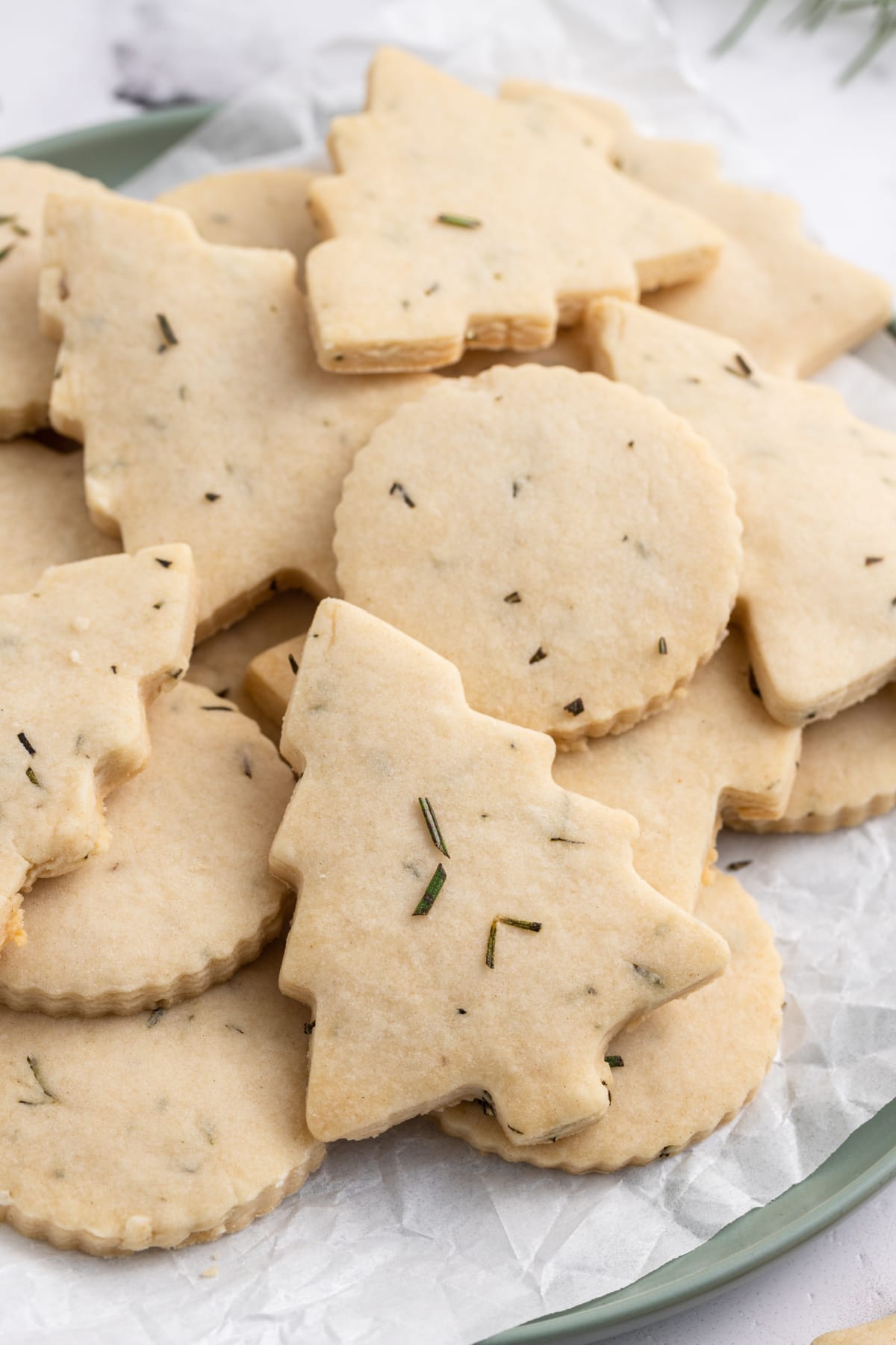 rosemary shortbread cookies in different shapes