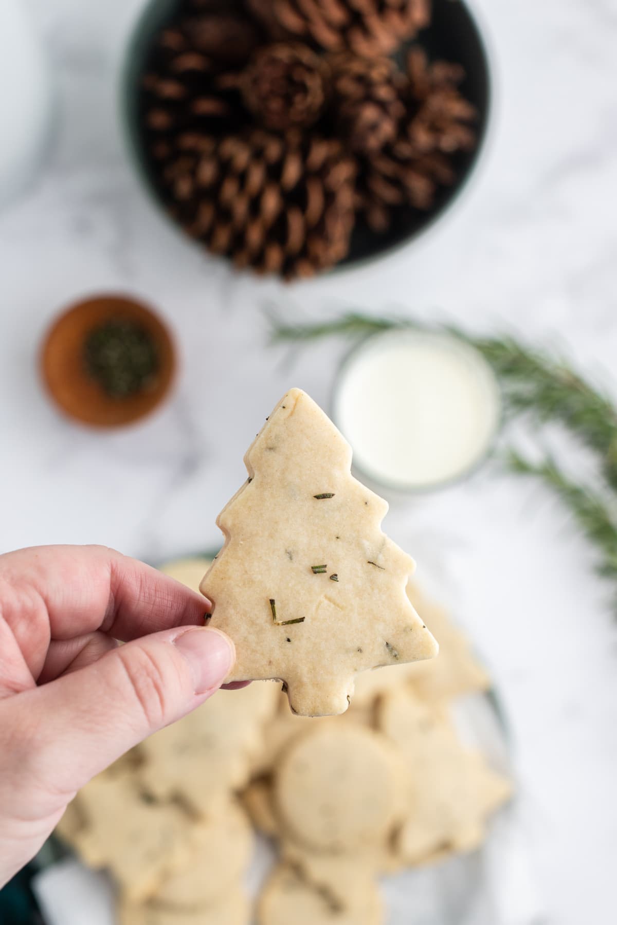 hand holding christmas tree cookie