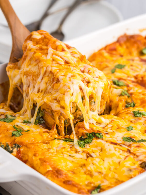 spatula scooping up chicken and spinach enchiladas