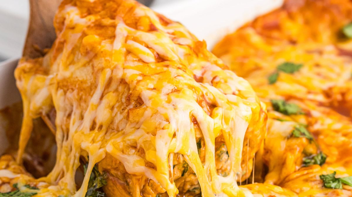 Chicken and Spinach Enchiladas